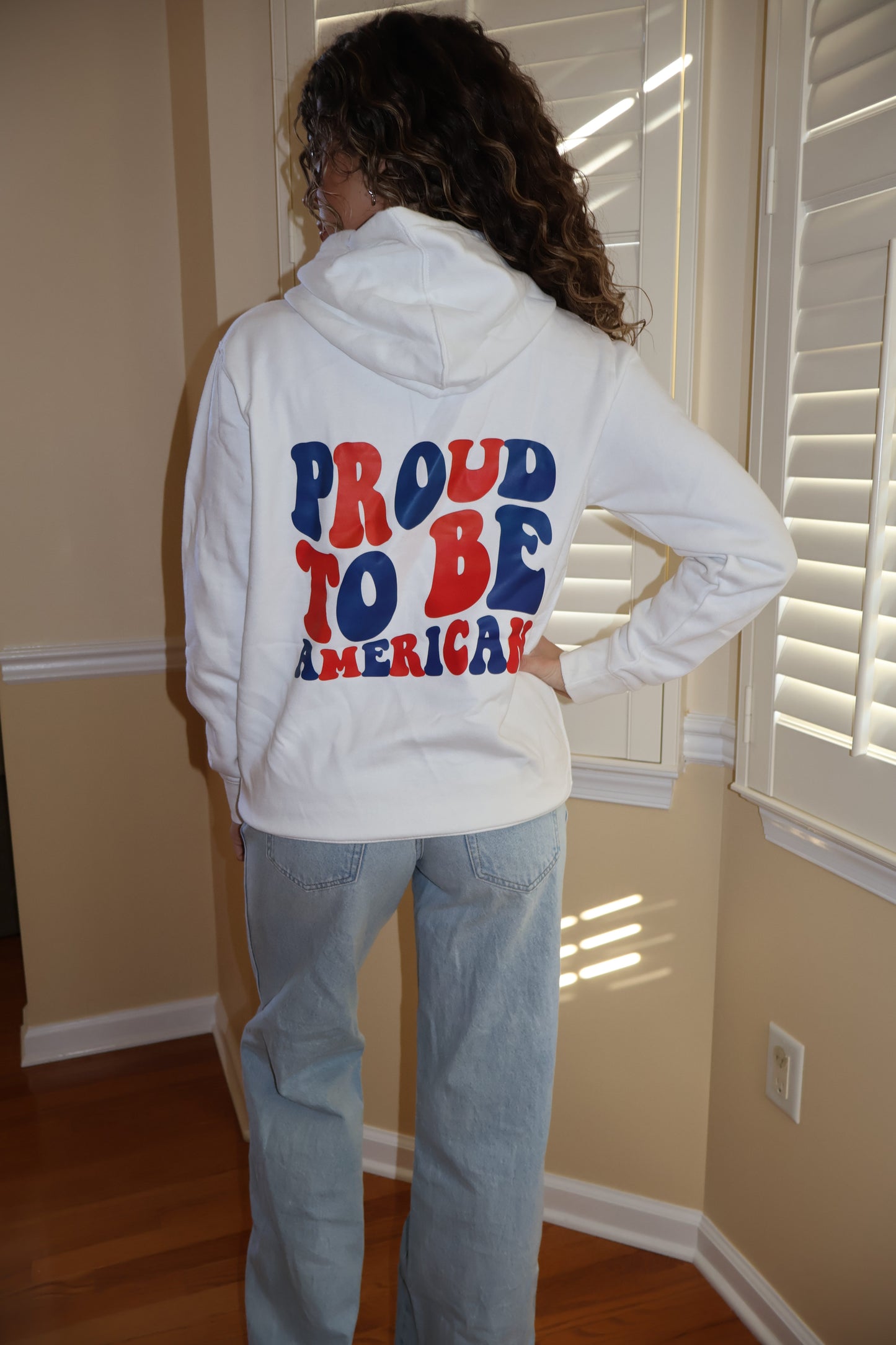 USA 🇺🇸 hoodie