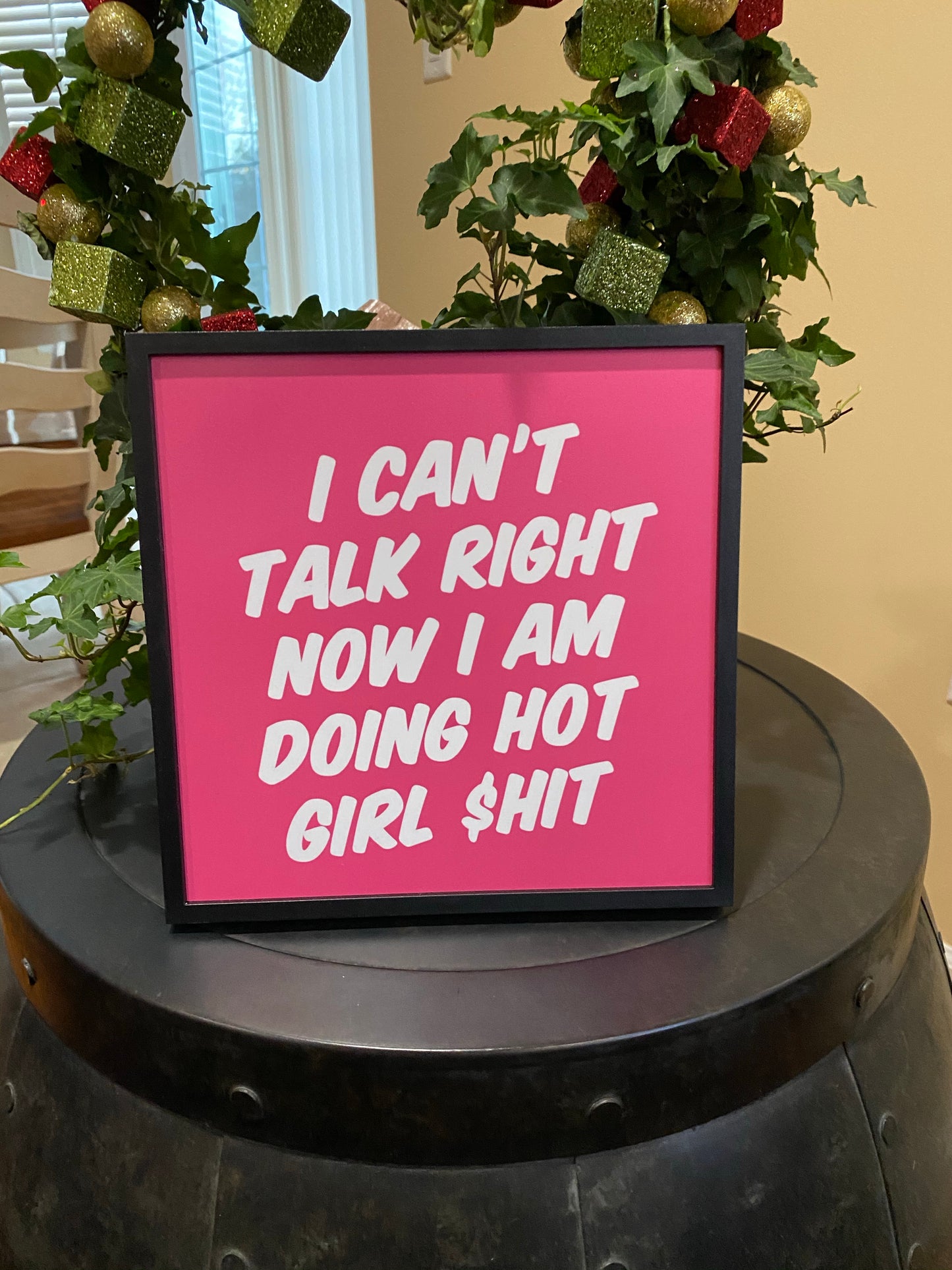 Tik Tok inspired song/quotes - Megan the stallion - I a hot girl I do hot quotes