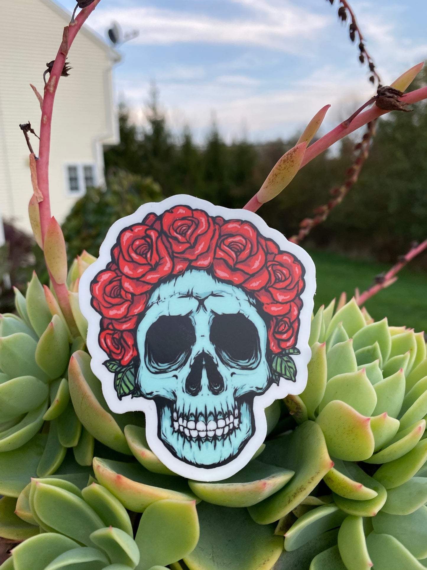 Skulls and Roses sticker - skull art