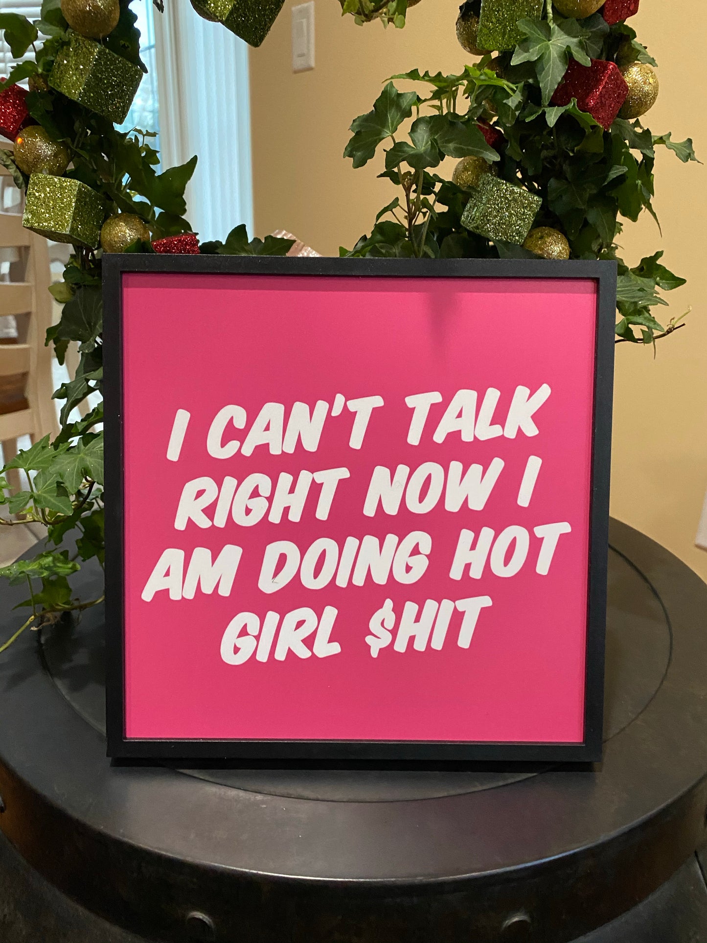 Tik Tok inspired song/quotes - Megan the stallion - I a hot girl I do hot quotes