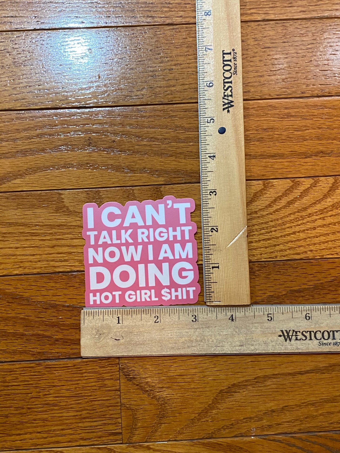 Tik Tok inspired song/quotes sticker - Megan the stallion - I a hot girl I do hot quotes