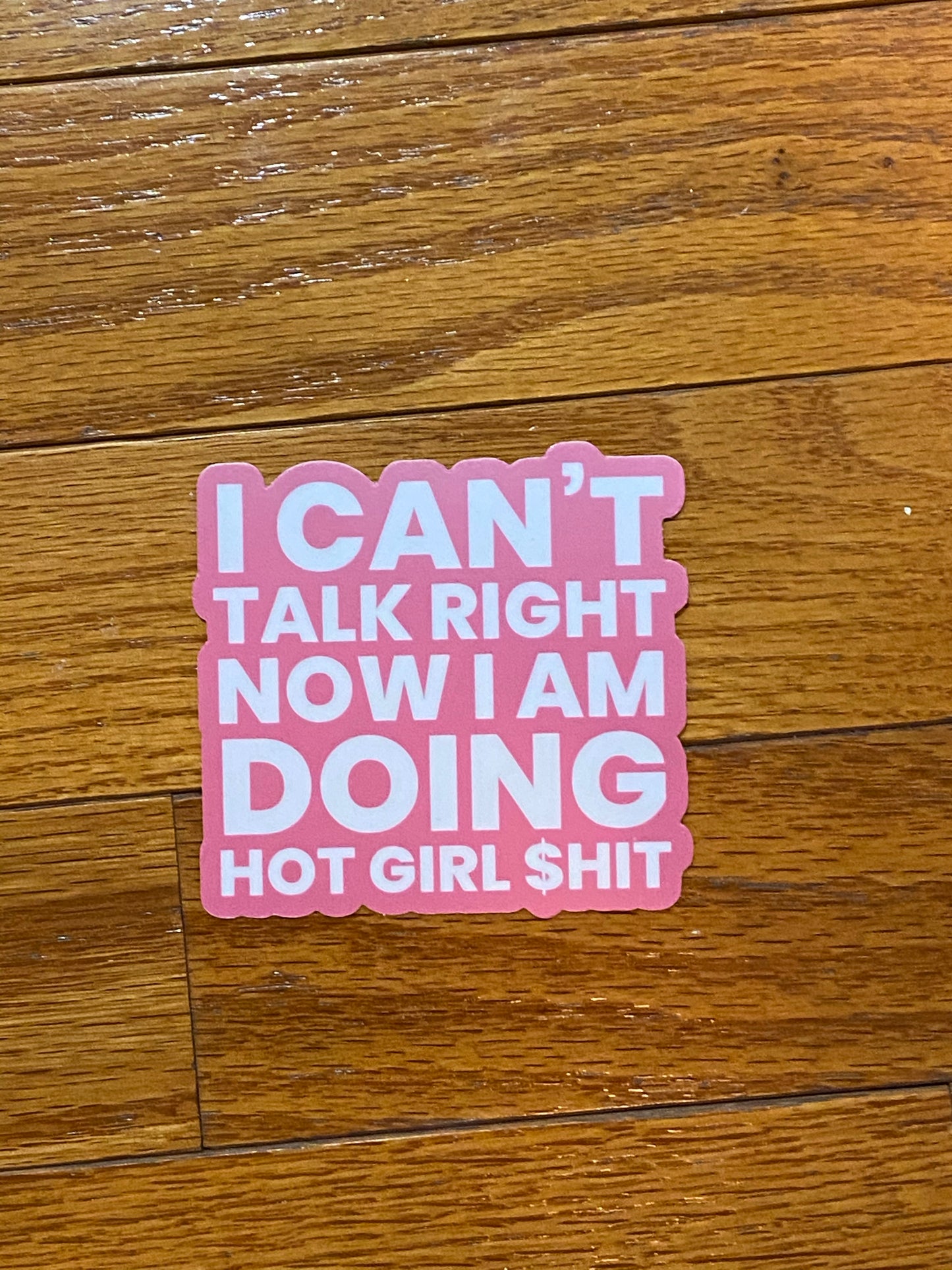 Tik Tok inspired song/quotes sticker - Megan the stallion - I a hot girl I do hot quotes