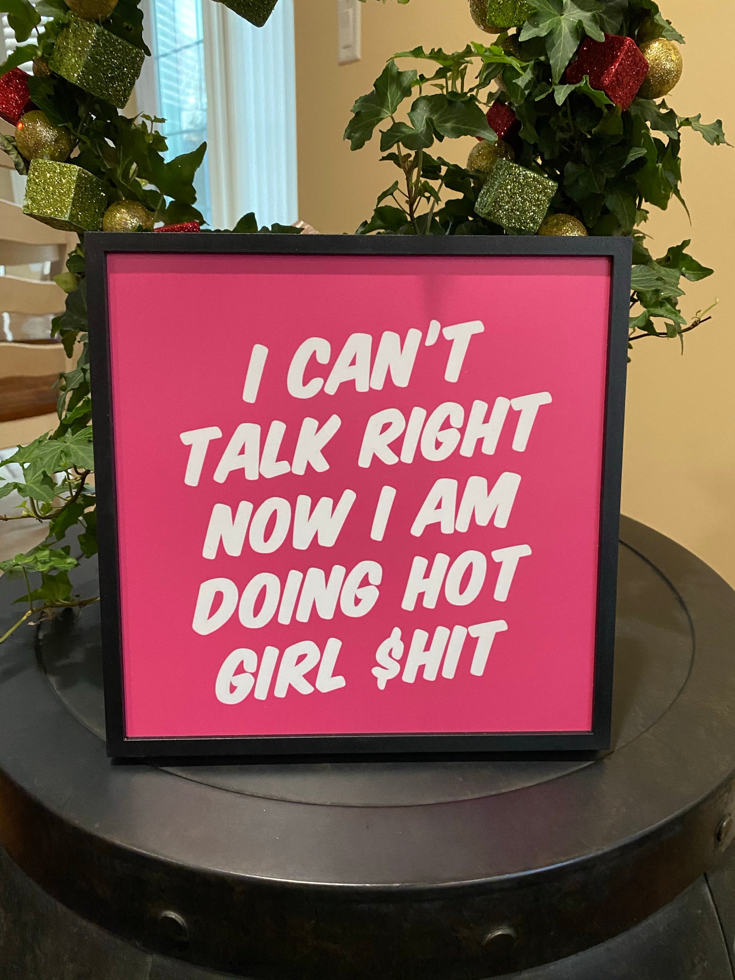 Tik Tok inspired song/quotes - Megan the stallion - I a hot girl I do hot quotes