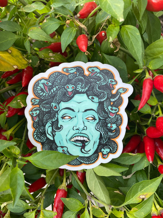 Medusa surf art sticker head shot - watch out here comes Medusa she will turn you to stone