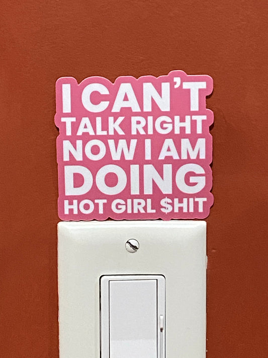 Tik Tok inspired song/quotes  sticker - Megan the stallion  - I a hot girl I do hot quotes